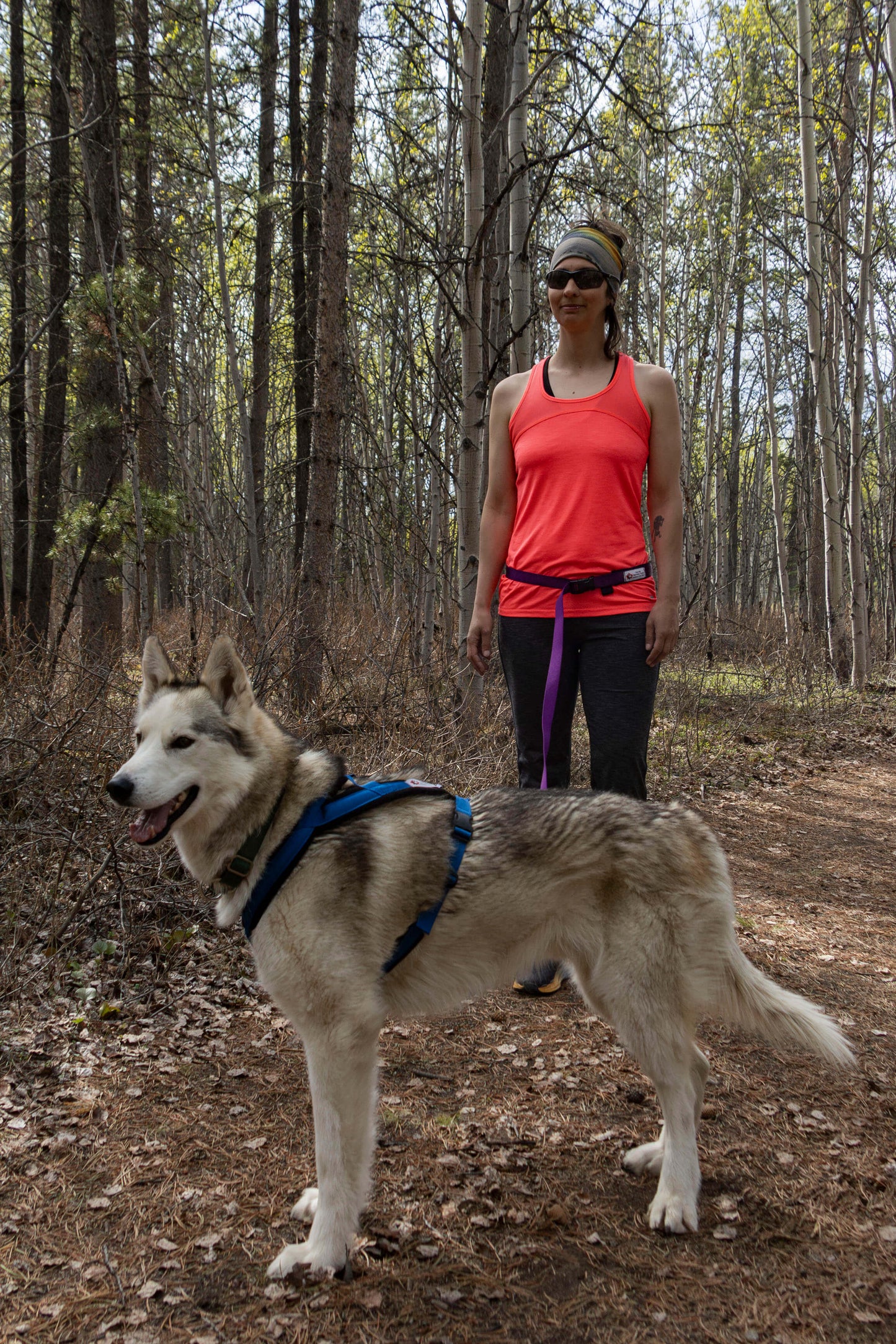 Adventure Harness