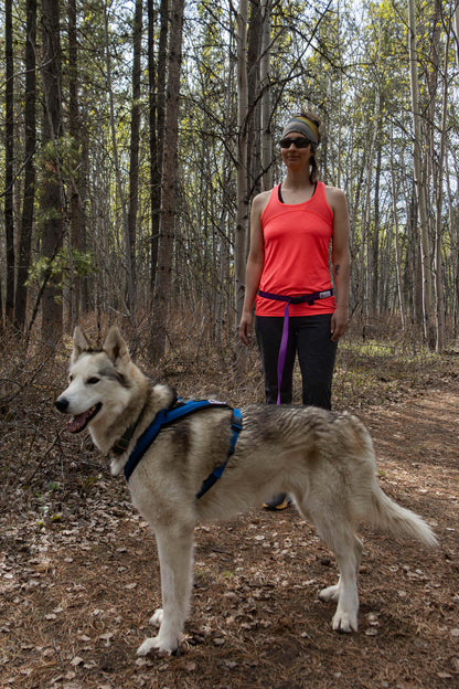 Adventure Harness