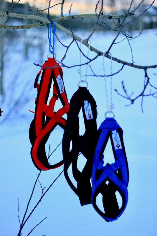 Adventure Harness