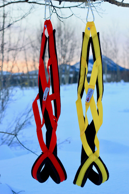 Arctic Racing Harness